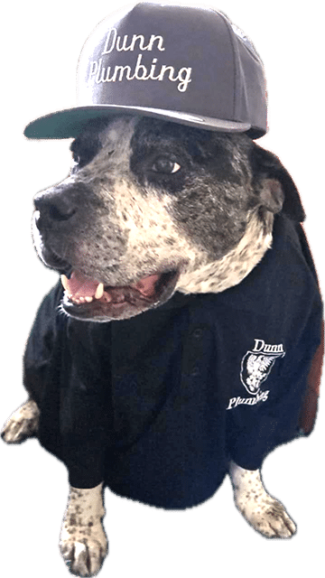 Dunn-right-leak-detection-dog