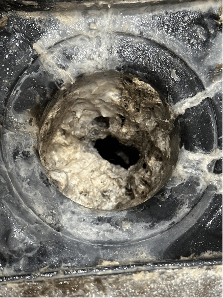 DIY drain Cleaning