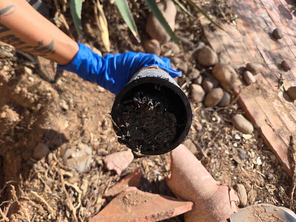 damaged-drain-line