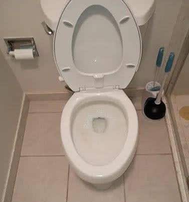 toilet clog removed